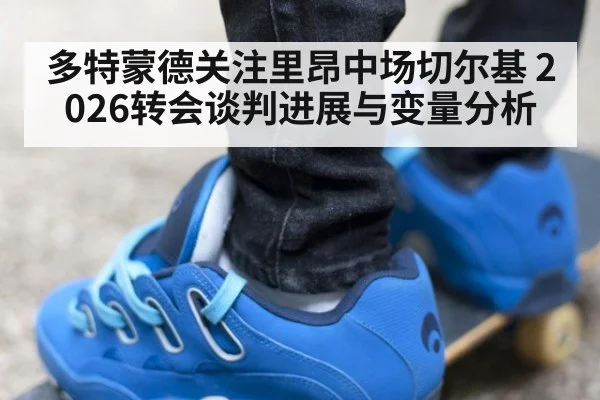 多特蒙德关注里昂中场切尔基 2026转会谈判进展与变量分析